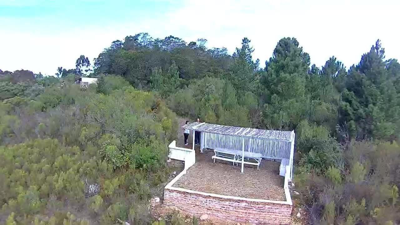 Protea Wilds Retreat Harkerville Exterior foto