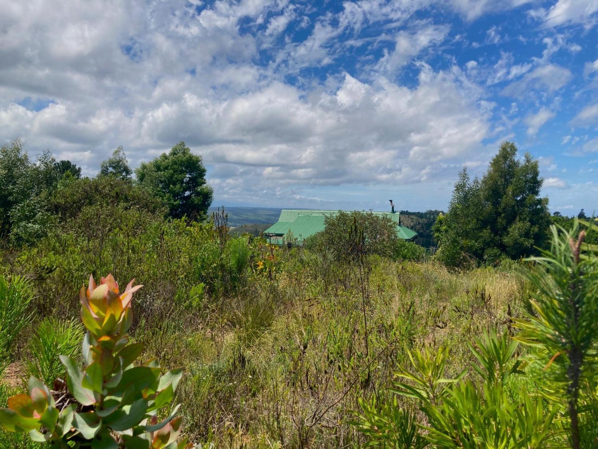 Protea Wilds Retreat Harkerville Exterior foto