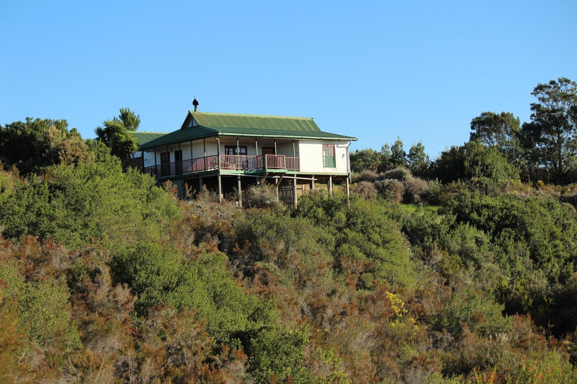 Protea Wilds Retreat Harkerville Exterior foto